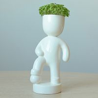 набор для выращивания eco футболист в Нижнем Тагиле