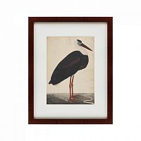 картина: black stork in a landscape, индия, 1780 в Нижнем Тагиле