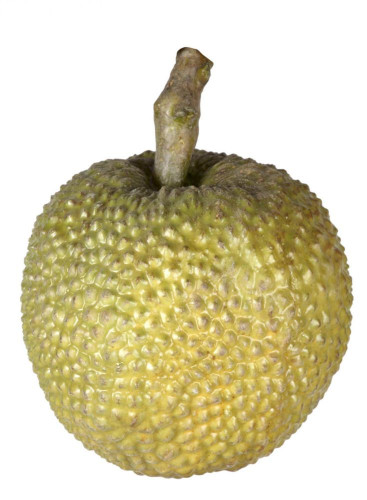 декор durian в Нижнем Тагиле
