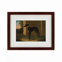 картина: portrait of a greyhound called pompon, 1746 в Нижнем Тагиле
