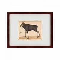 картина: moose, 1560 в Нижнем Тагиле