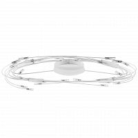 потолочный светильник lightstar ovale 784246 в Нижнем Тагиле