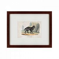 картина: a caracal or lynx, 1830 в Нижнем Тагиле