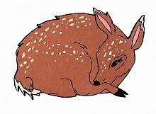 ковер шерстяной олененок the deer в Нижнем Тагиле