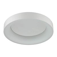 потолочный светодиодный светильник odeon light sole 4062/50cl в Нижнем Тагиле