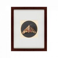 картина: owlet moth, 1700 в Нижнем Тагиле